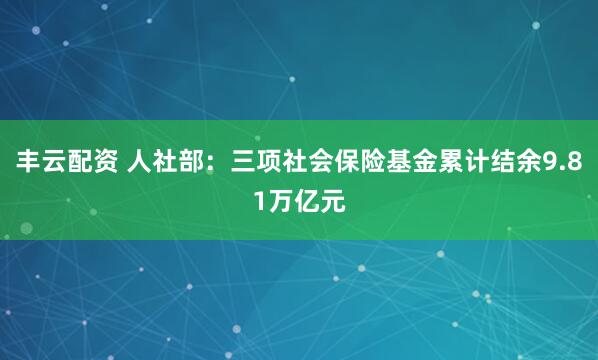 丰云配资 人社部：三项社会保险基金累计结余9.81万亿元