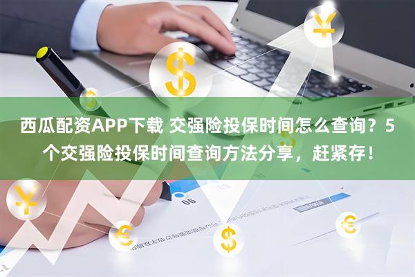 西瓜配资APP下载 交强险投保时间怎么查询？5个交强险投保时间查询方法分享，赶紧存！