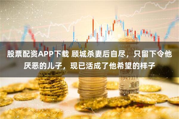 股票配资APP下载 顾城杀妻后自尽,只留下令他厌恶的儿子,现已活成了他希望的样子