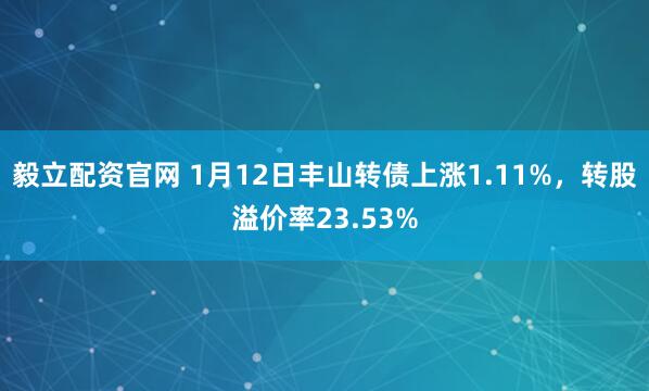 毅立配资官网 1月12日丰山转债上涨1.11%，转股溢价率23.53%