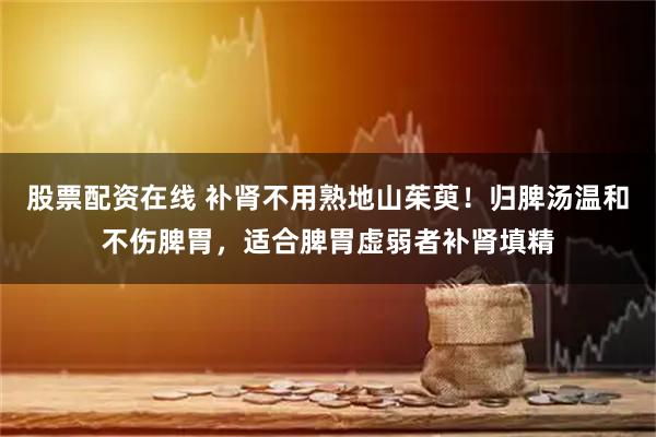 股票配资在线 补肾不用熟地山茱萸！归脾汤温和不伤脾胃，适合脾胃虚弱者补肾填精