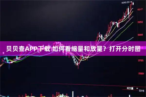 贝贝查APP下载 如何看缩量和放量？打开分时图